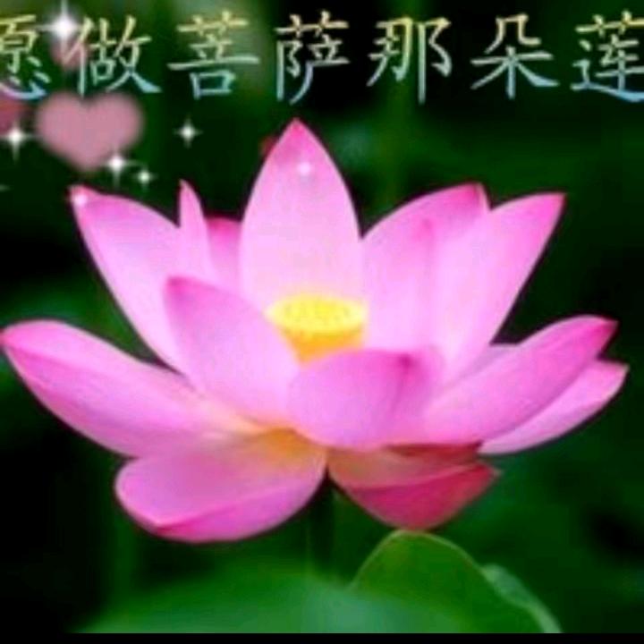 惜缘