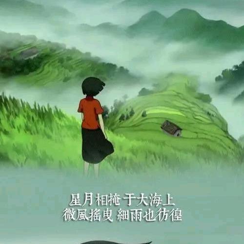 山茶花