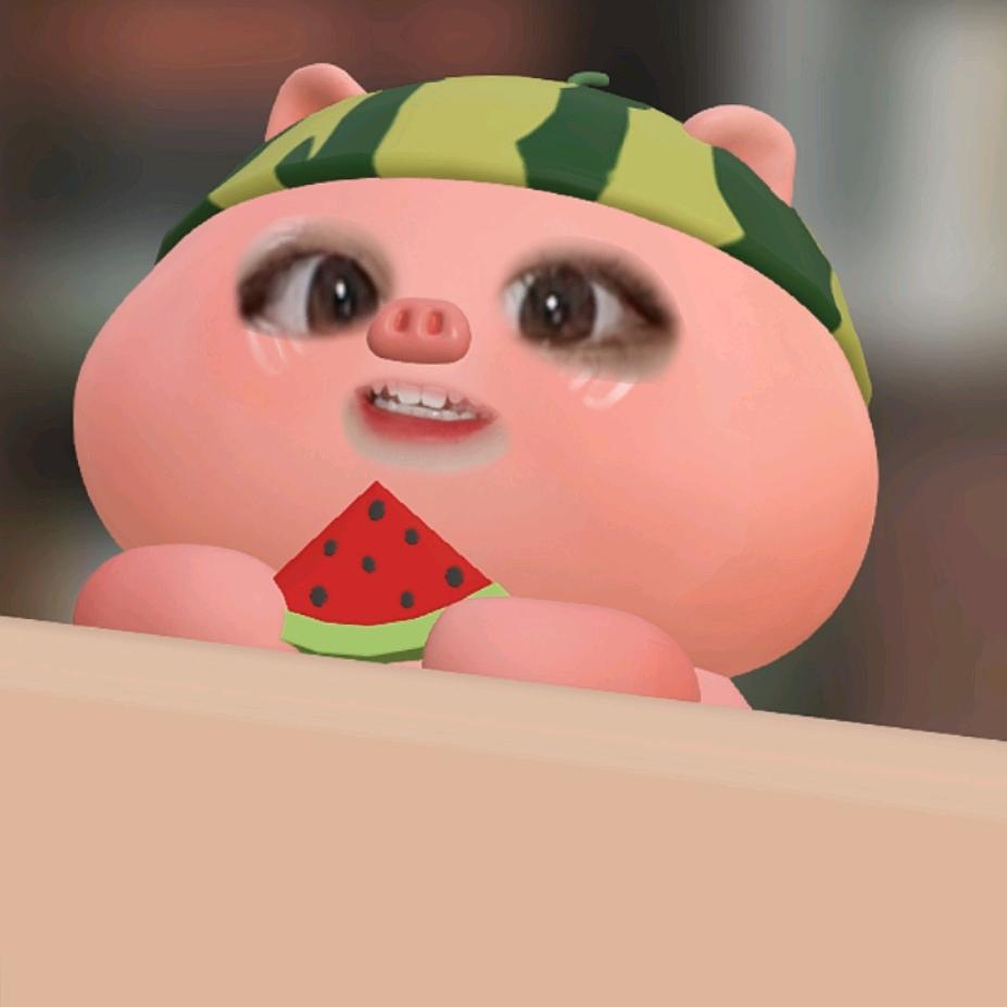 猪猪爱西瓜