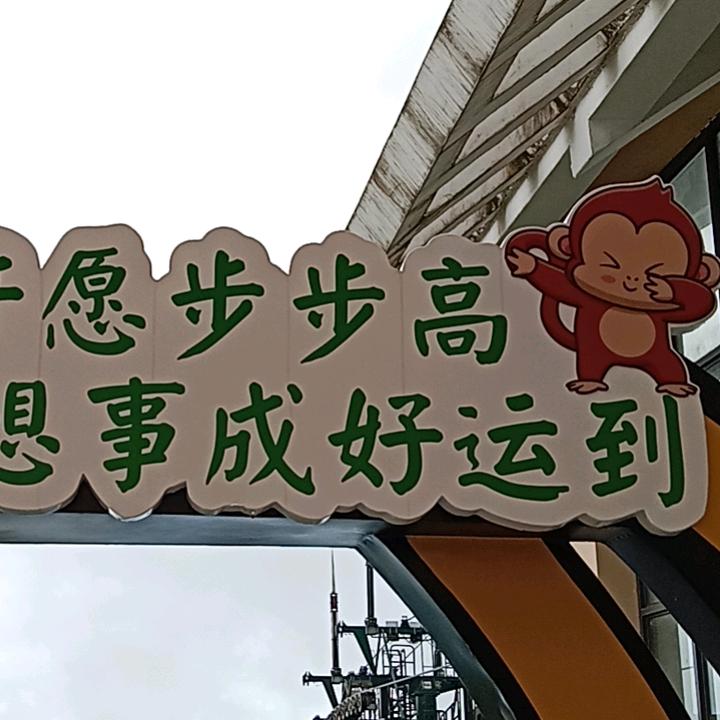 姜大少