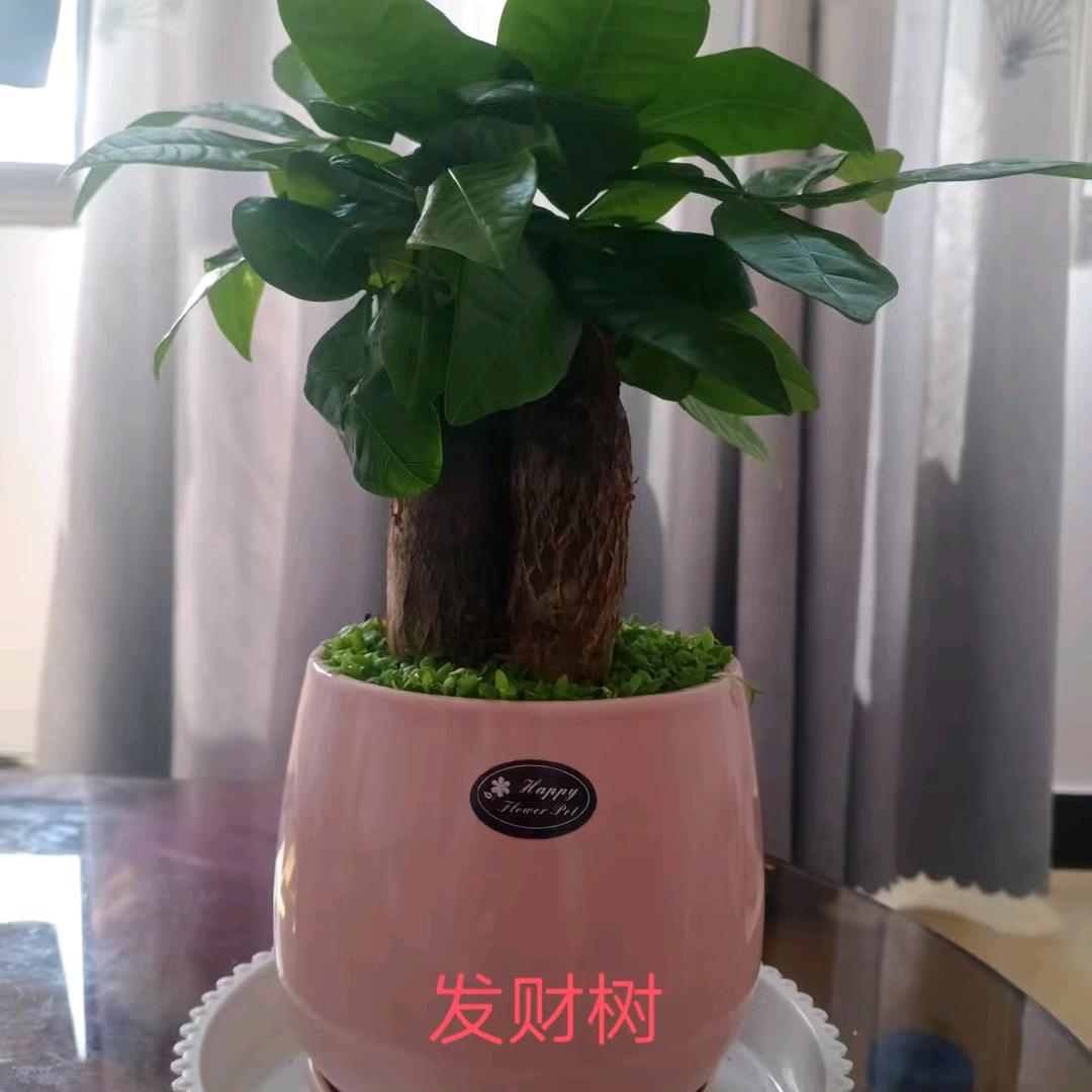 世界太美好