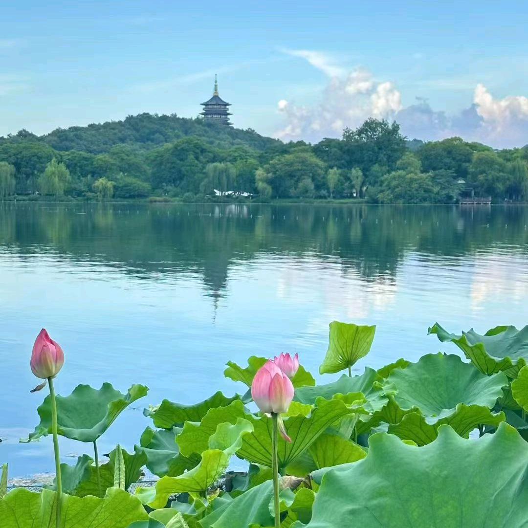 晚秋