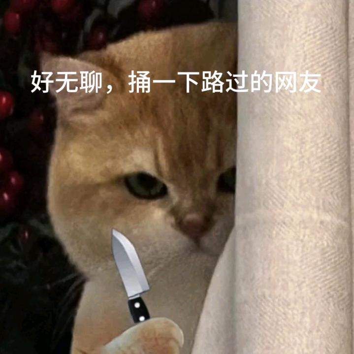 唱跳rap启子