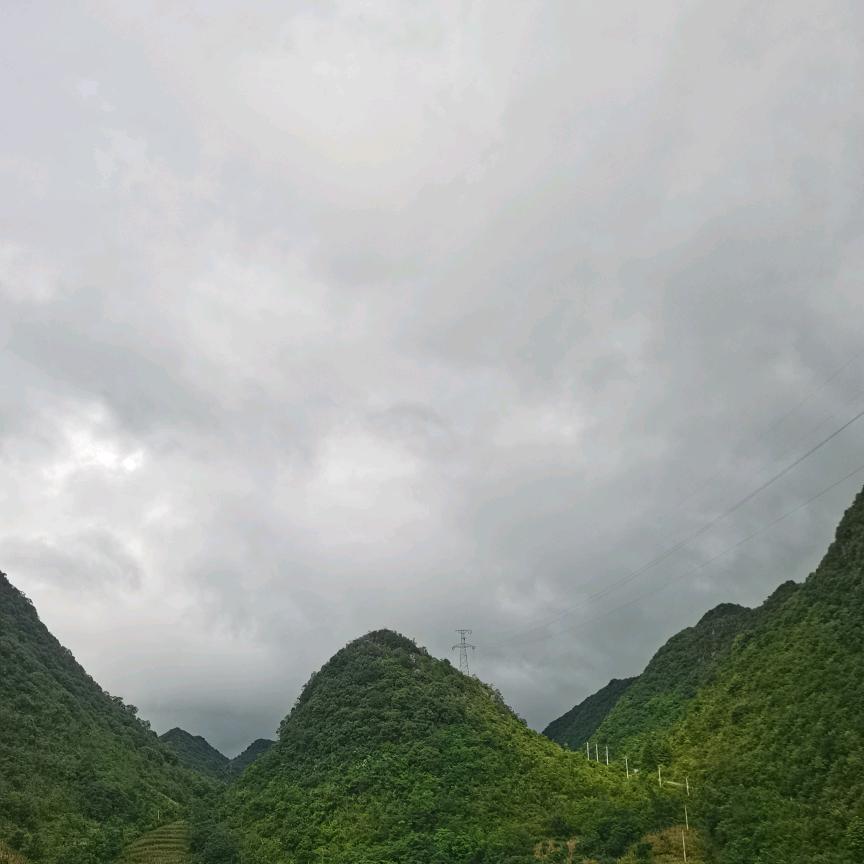 恆黃關🌺䱖