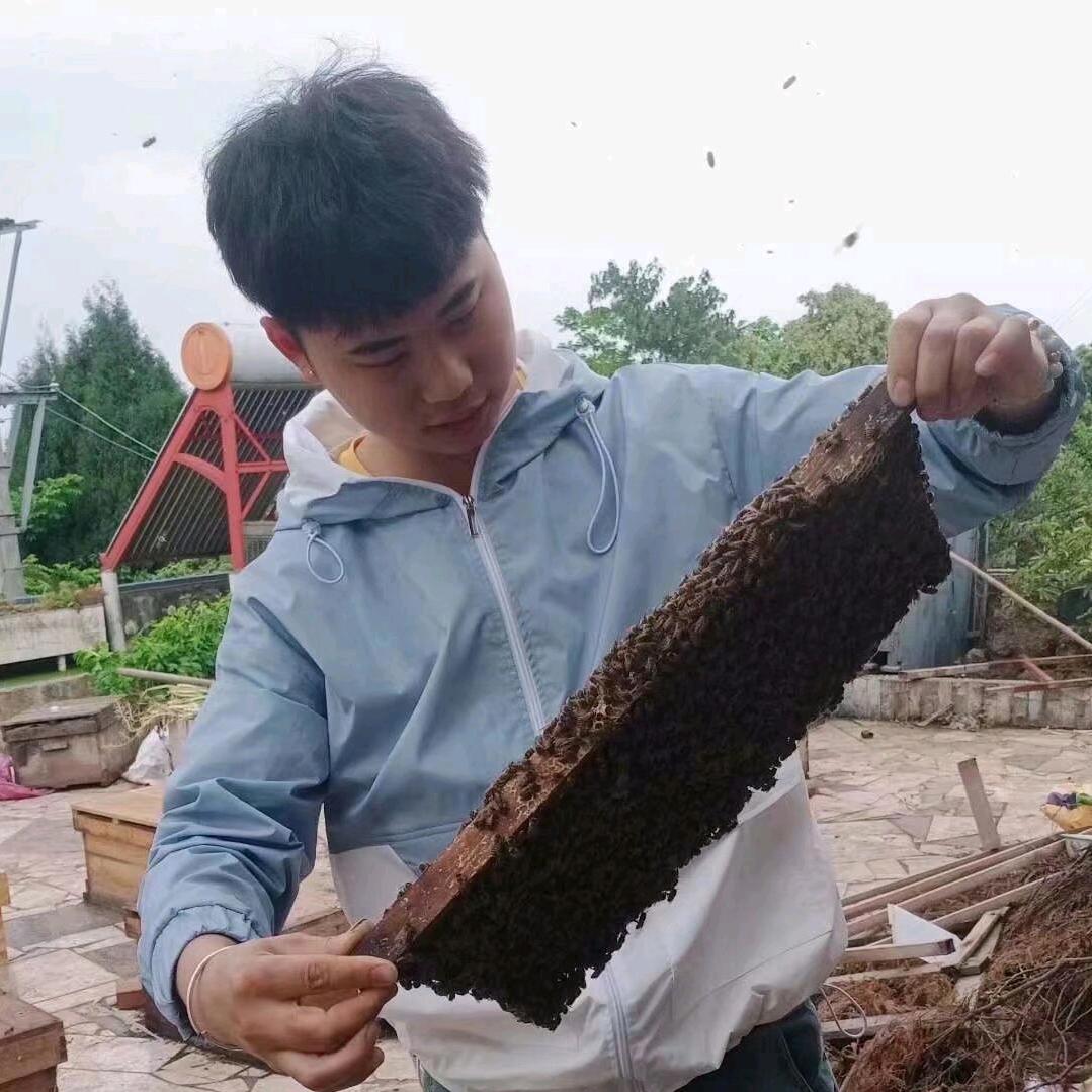 源源蜂业基地