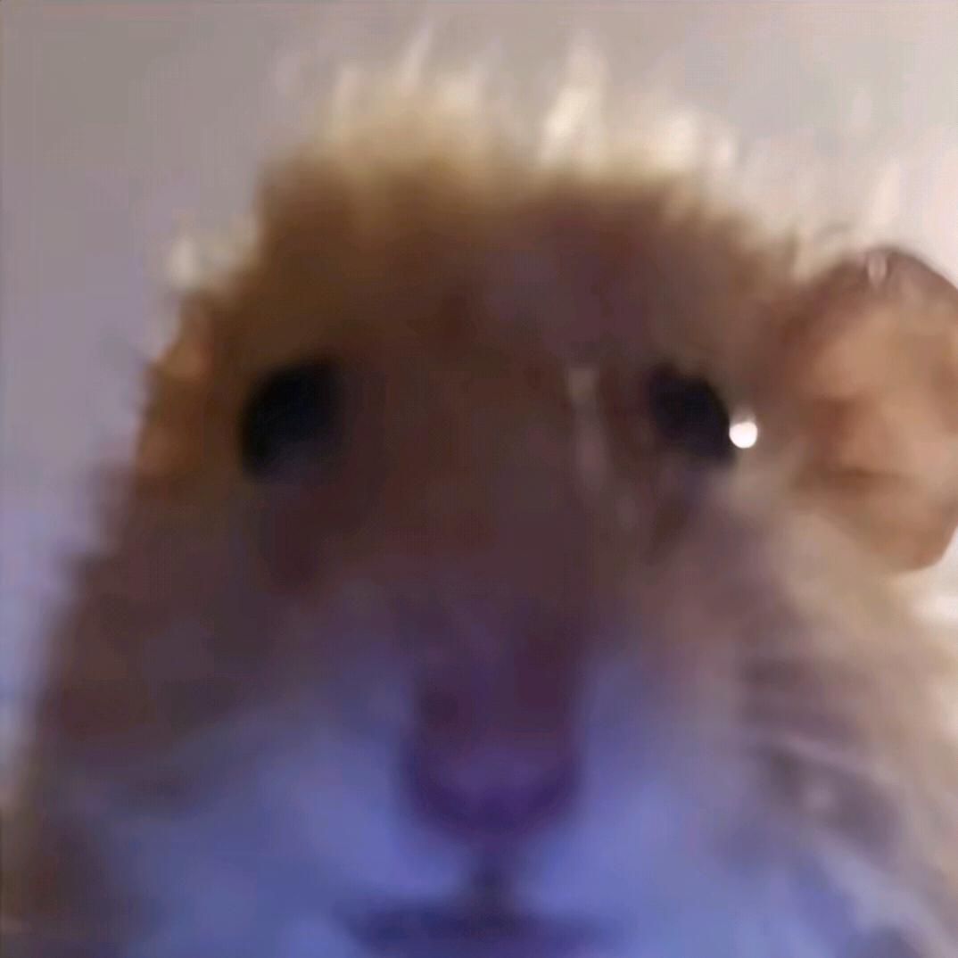 阿昊🐭