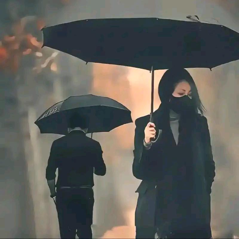 冷酷王子