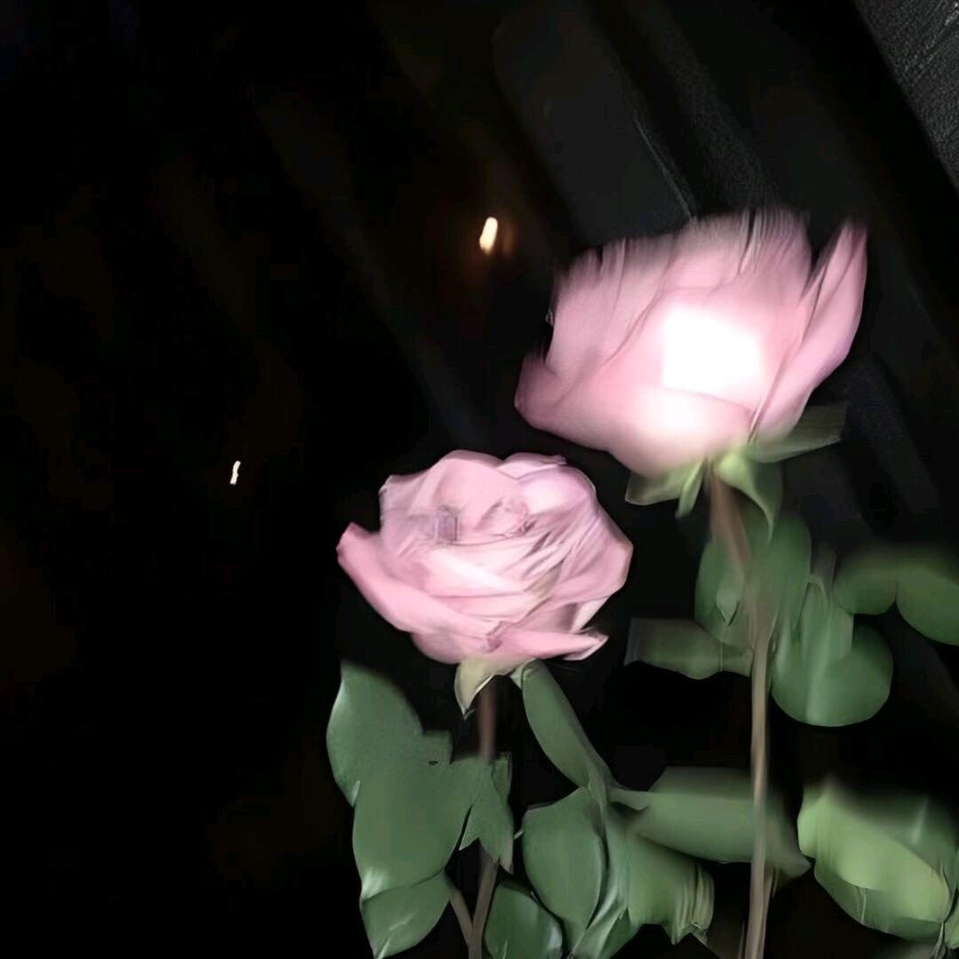 柒、