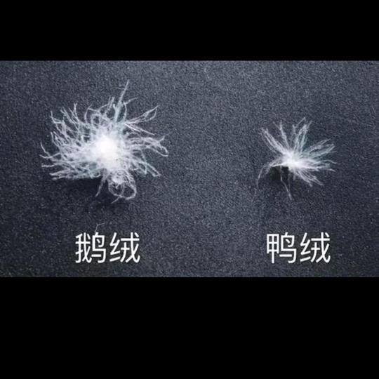 大量收购旧羽绒服