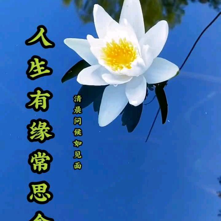 且行人生