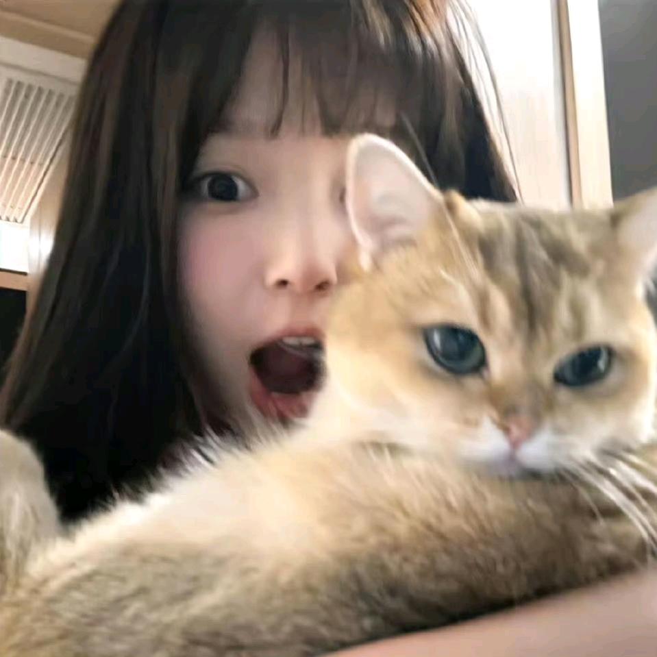 为什么不吃饭