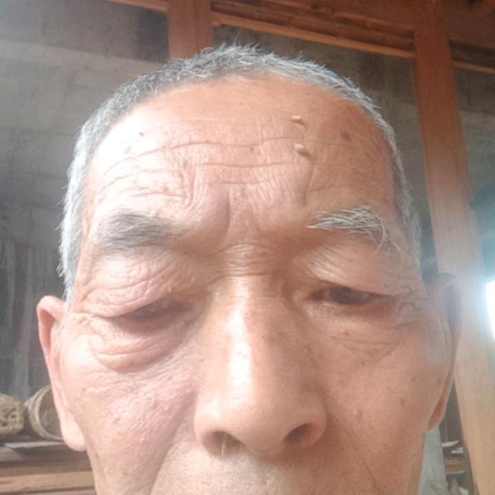 金自国