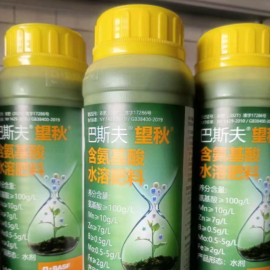 喜洋洋合作社3号