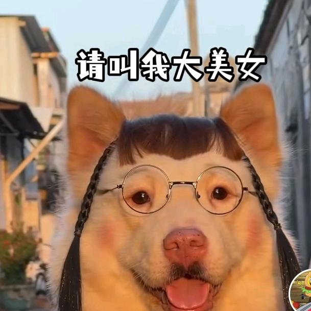 晚秋女人