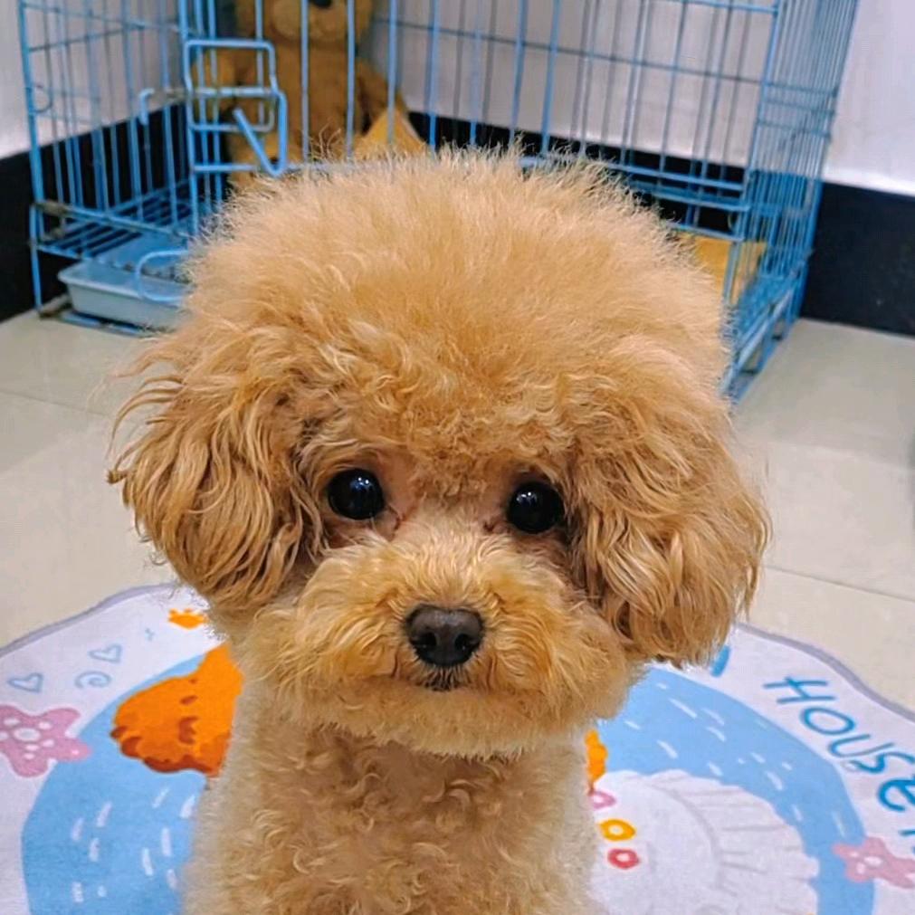 妞妞喜乐母女俩