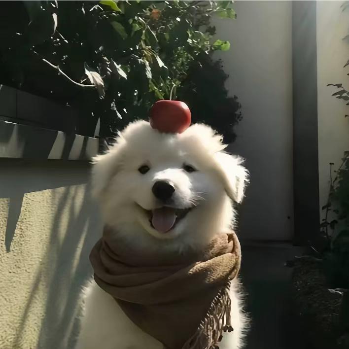 ʚ飞天小憨ɞ