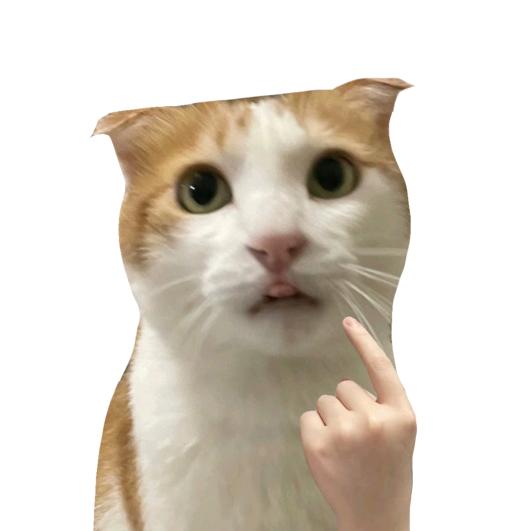 羊
