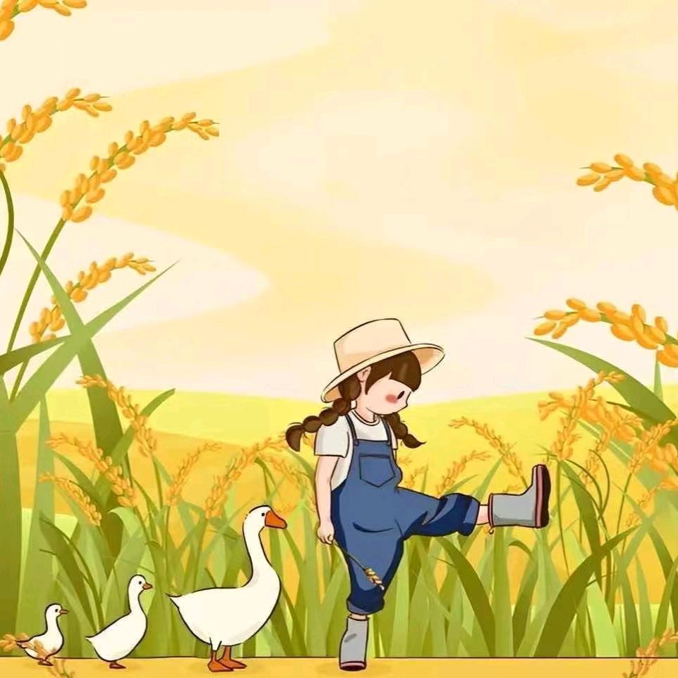 豆干儿