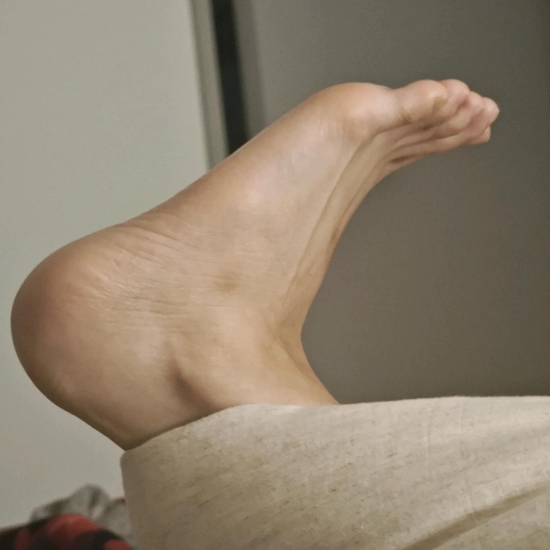 恋爱脑儿（最爱最爱最爱波妞了。）