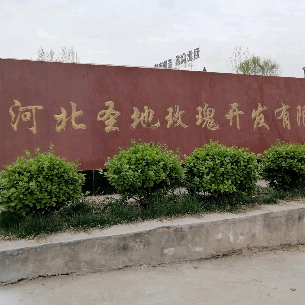 圣地利亚玫瑰世家