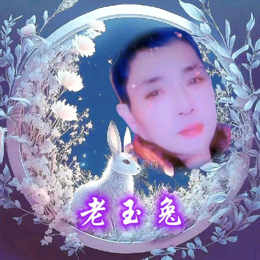 老玉兔