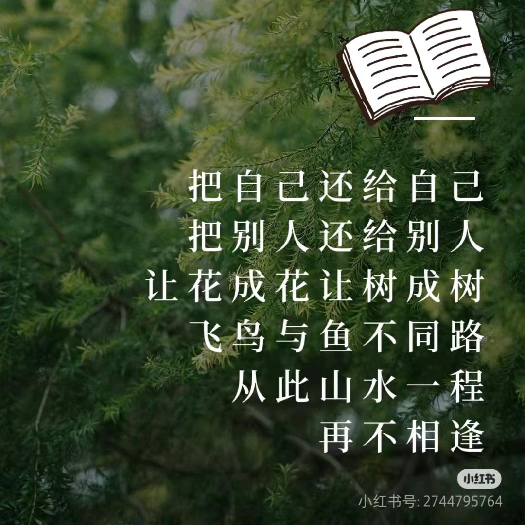 陪伴👭真心