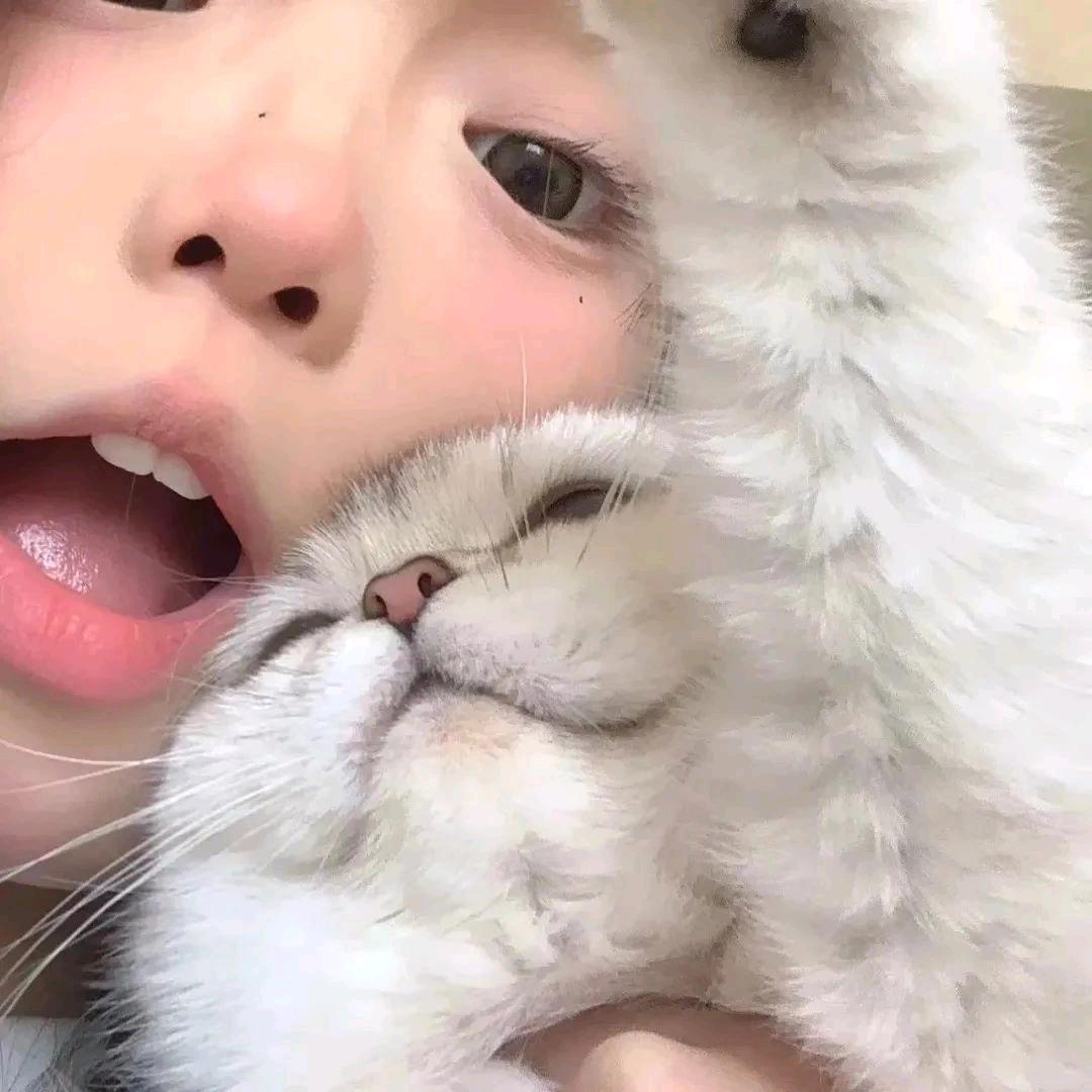 狸狸