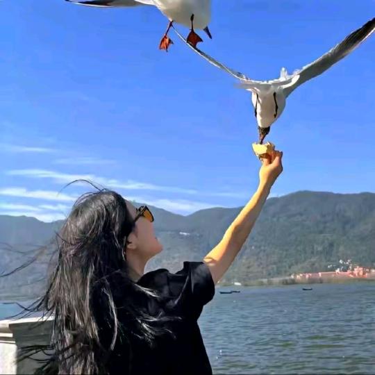 卡卡🔥九号⭐热门