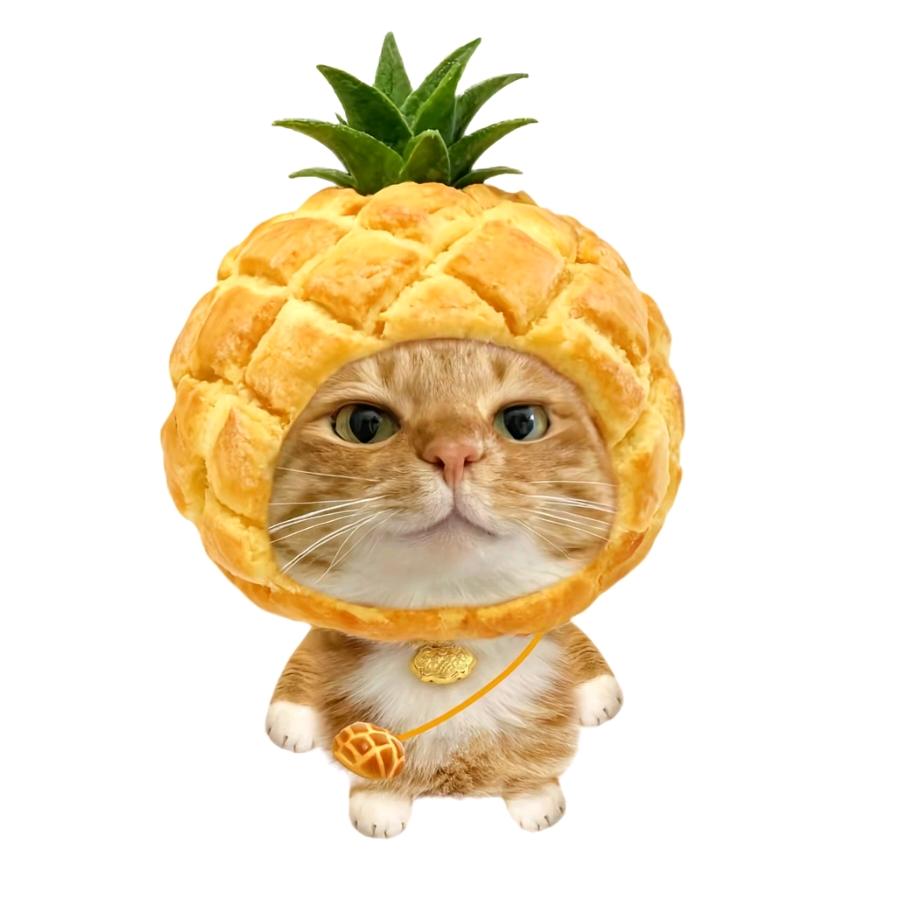 抗不了压狗狗头