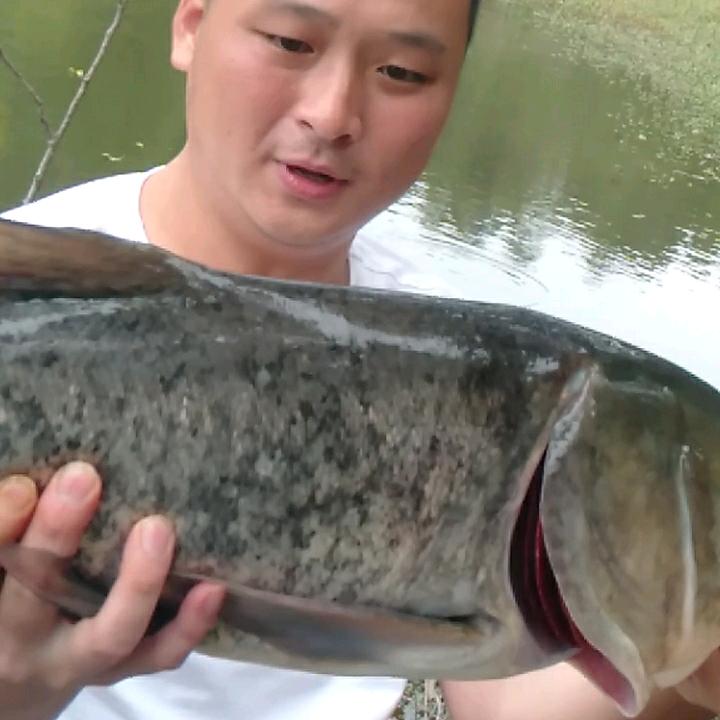 一竿钓天下（重庆万州）