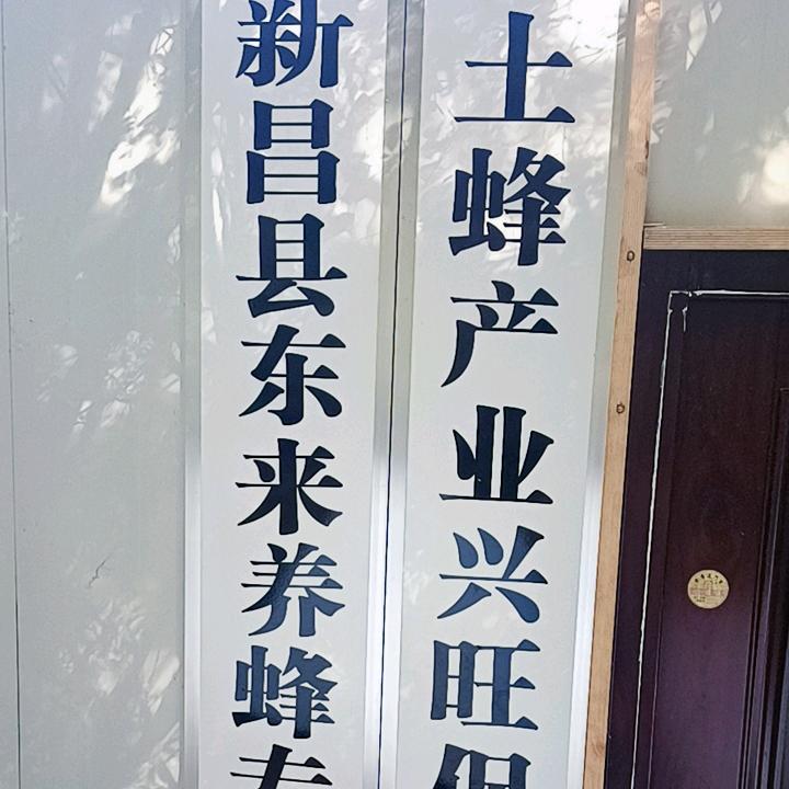 东来土蜂