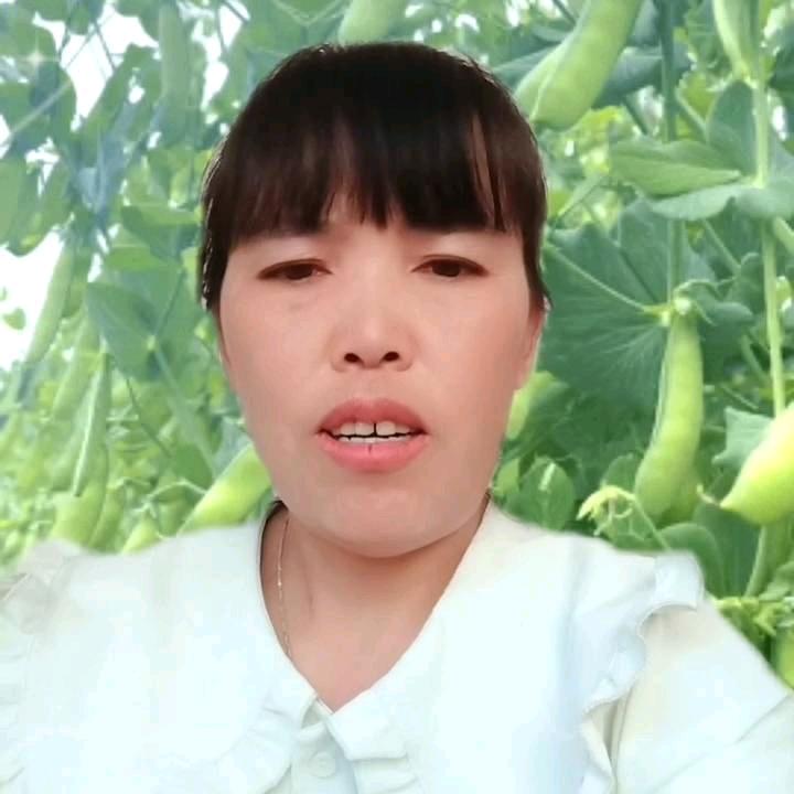 墨染姐
