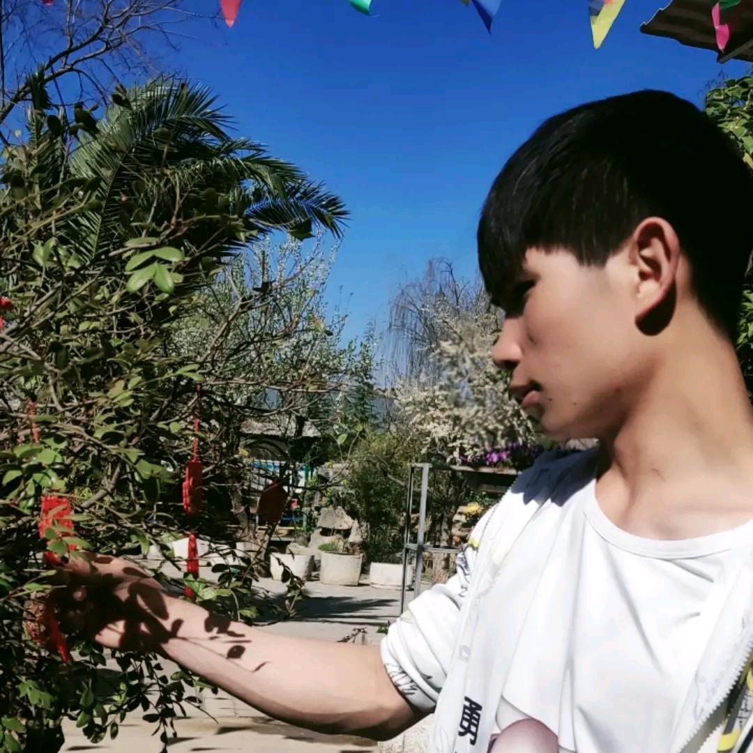 小杜哥哥