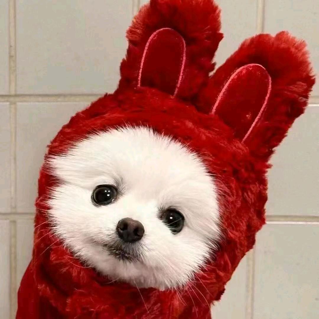 百毒不侵♡