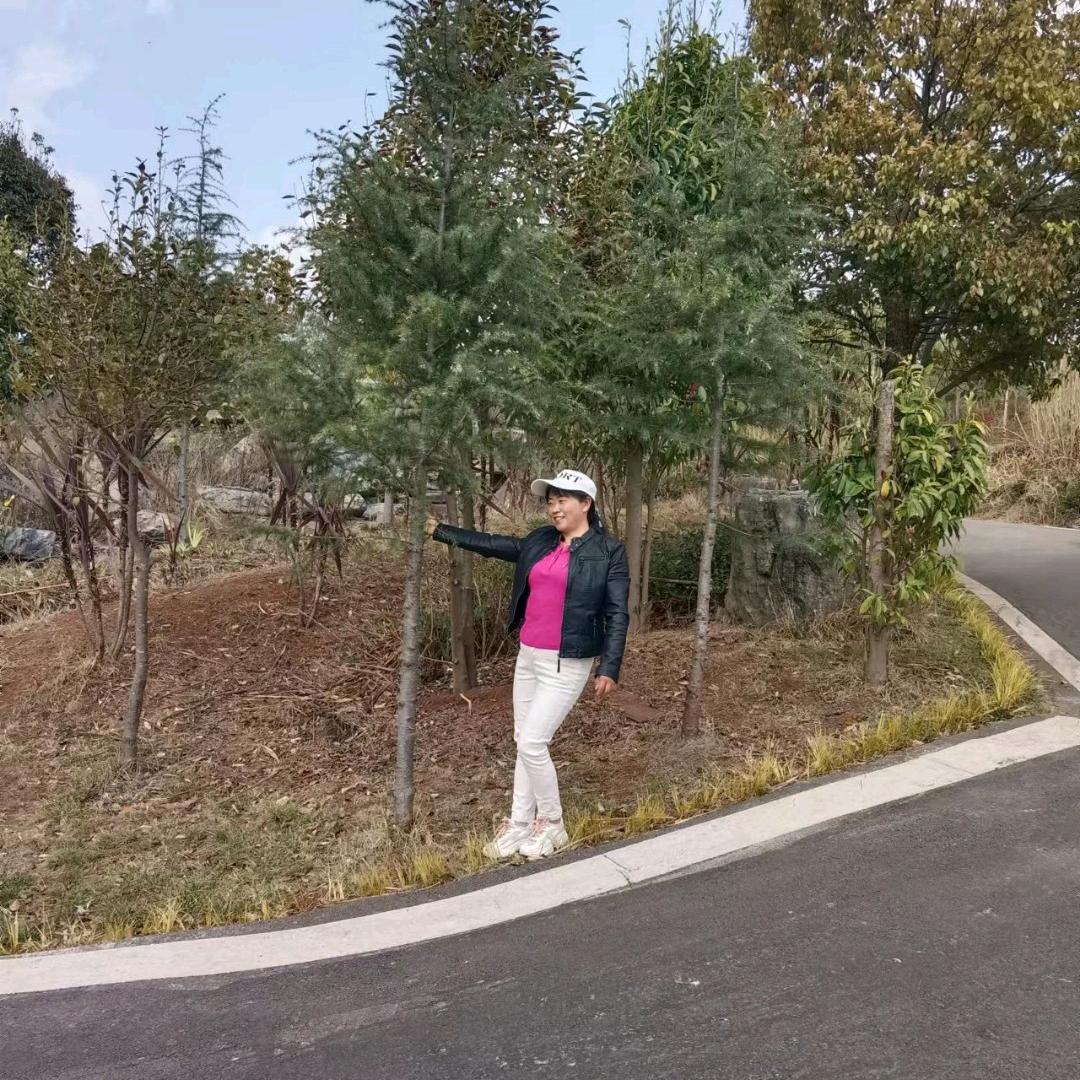 伍Y头