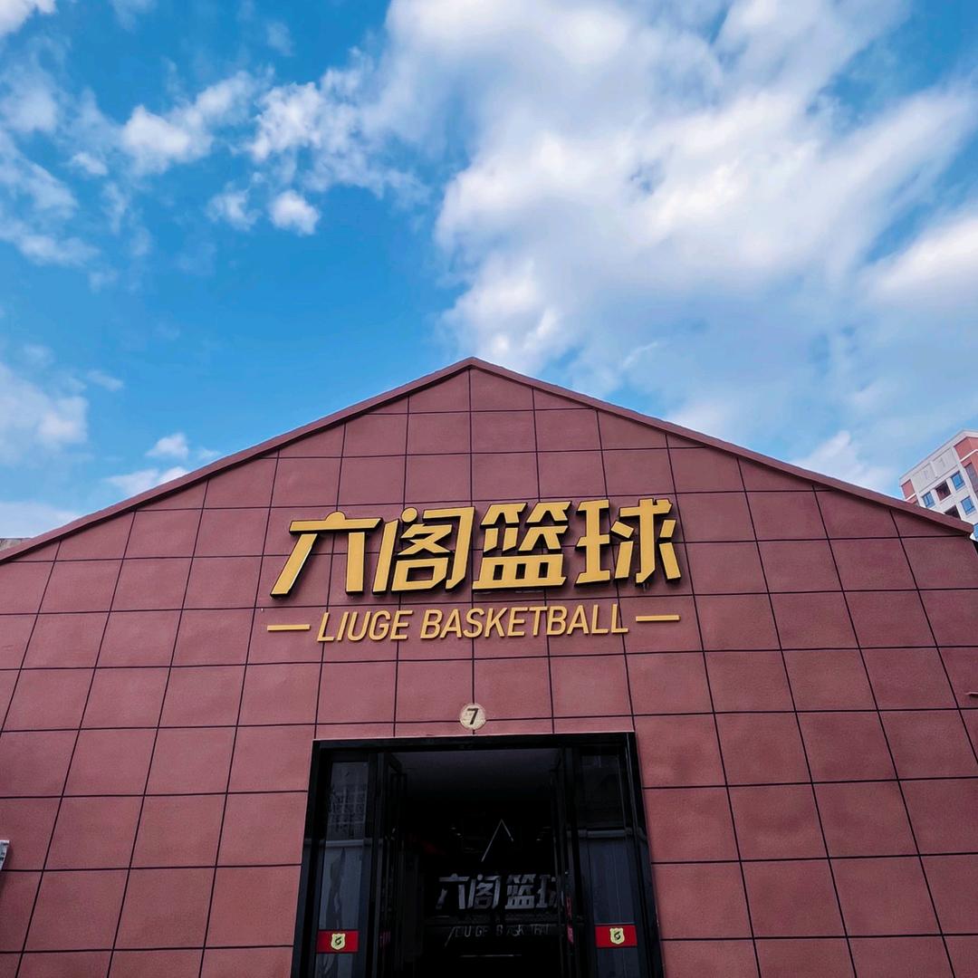 襄阳六阁篮球恺哥
