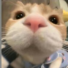 7_