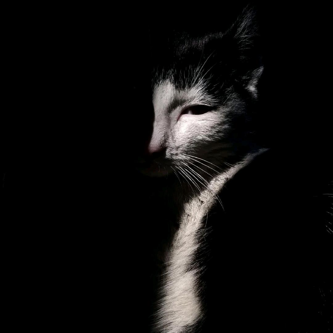 。。。。。。。。。。