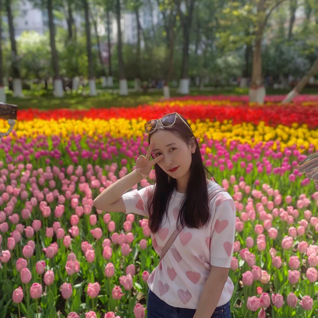 ↪南风知我意
