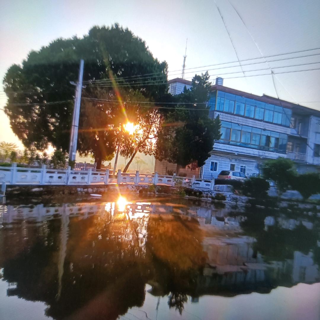 春晓α