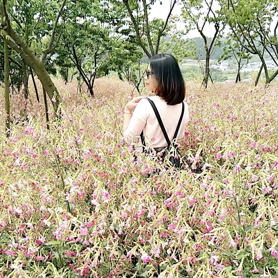 丁丁(护眼+体控管理)