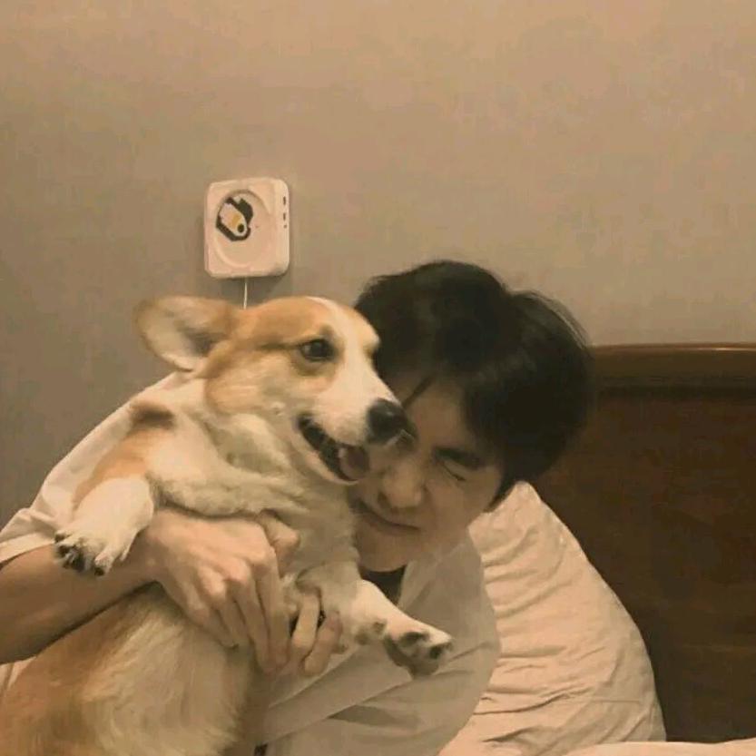 红玫瑰🌹