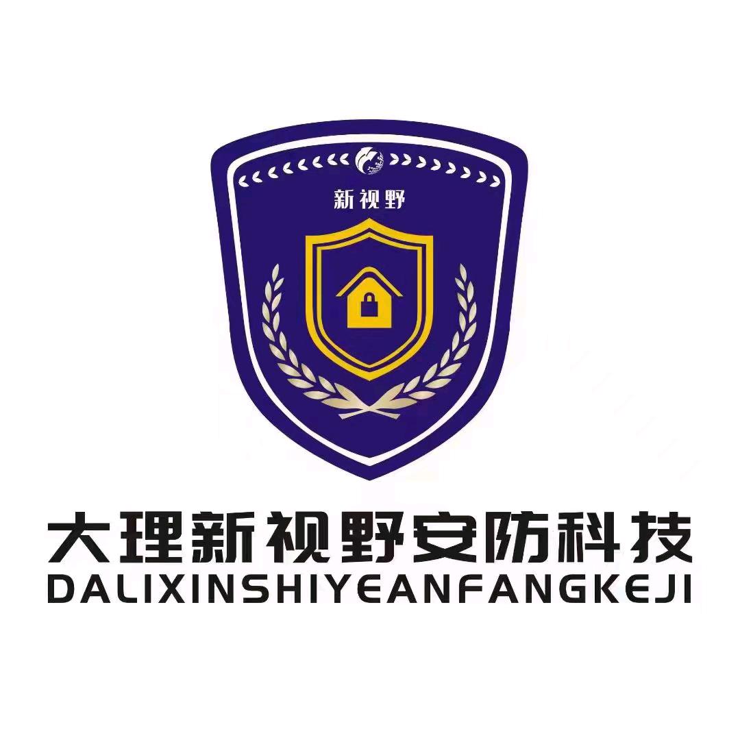 大理新视野安防科技有限公司