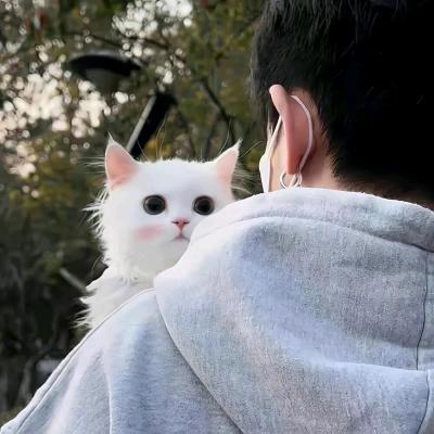 桐