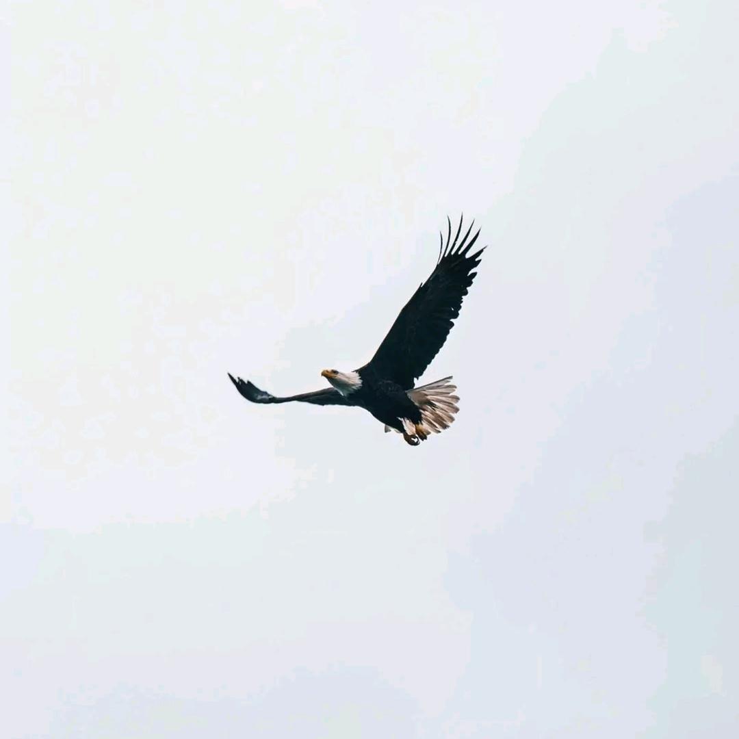 珍惜眼前