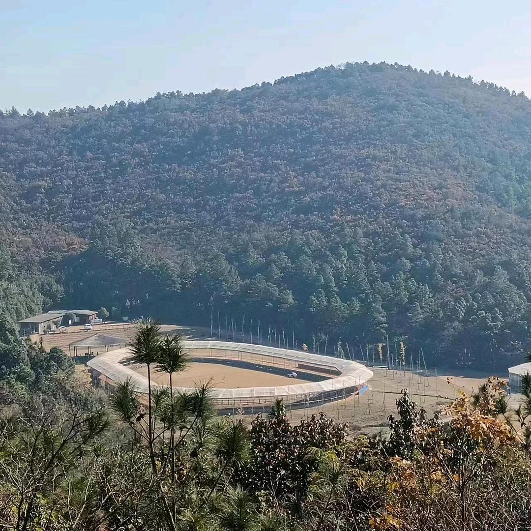 柳如烟⚡️⚡️