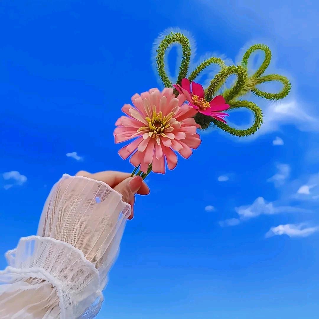 余生安好〖橱窗有好物〗
