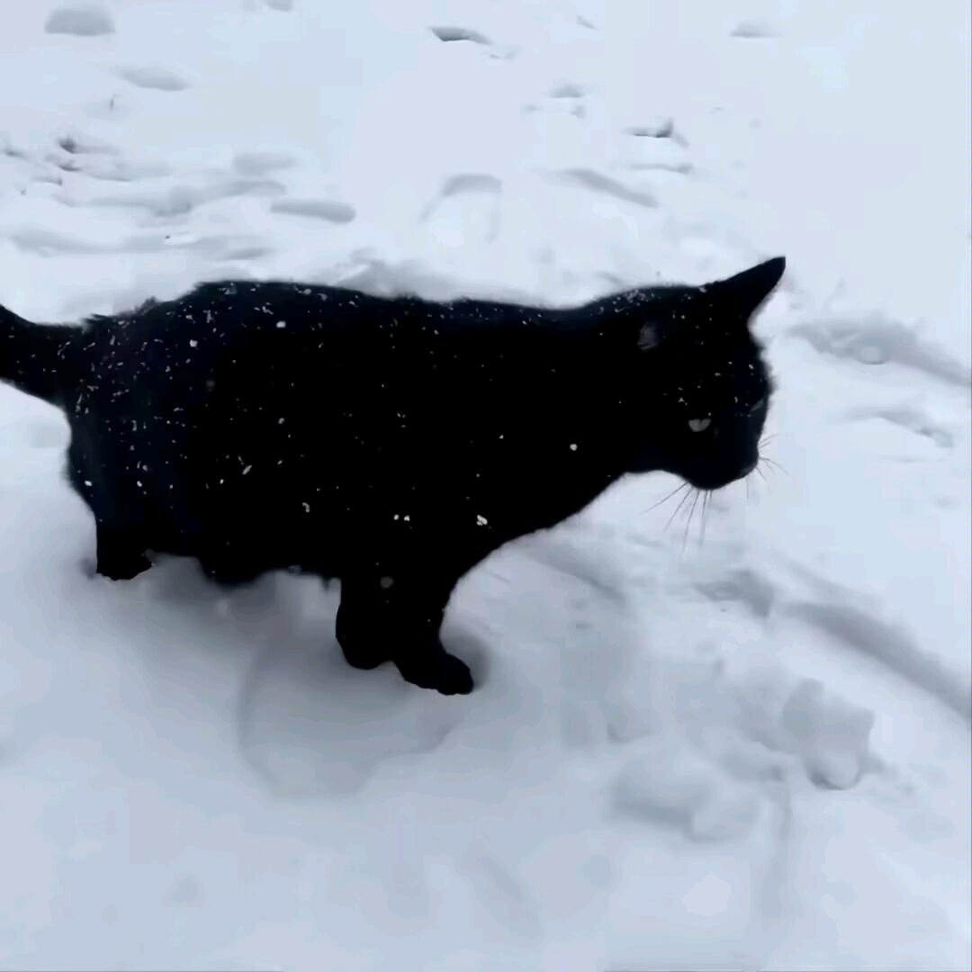 下一刻