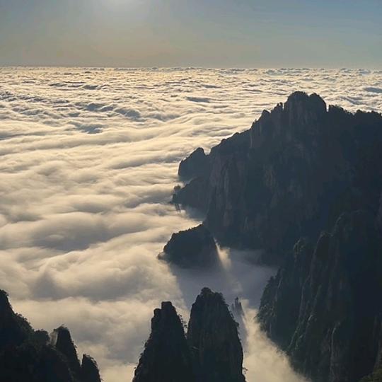 恩强