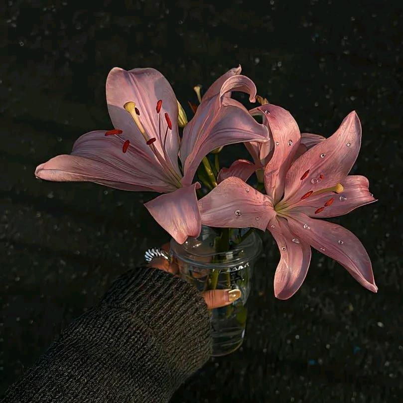 真诚心💞
